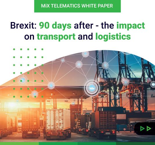 White Paper: Brexit 90 Days After