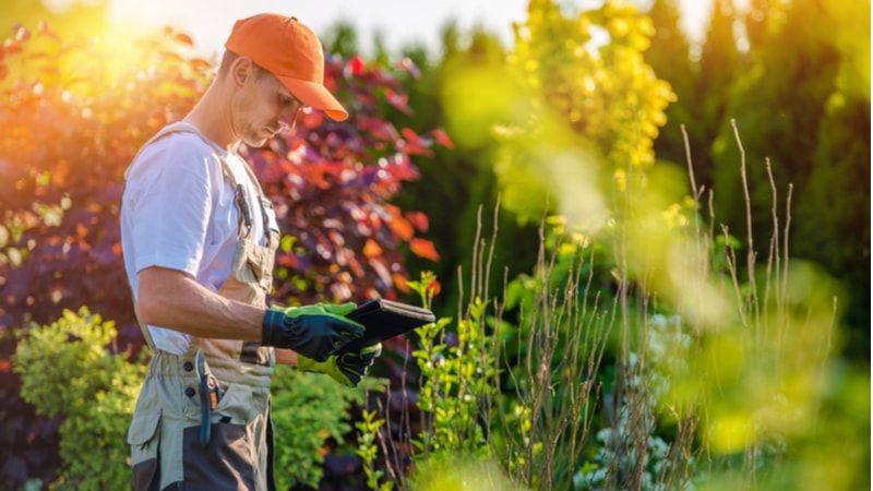 How to start a landscaping business - MiX by Powerfleet